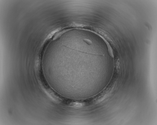 X0000110930352200906181433