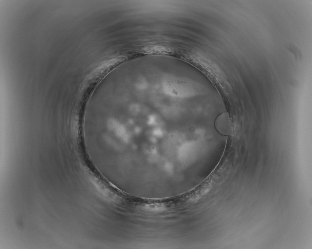 X0000110930353200906181433