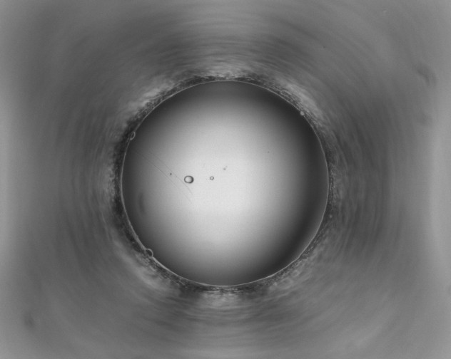 X0000110930354200906181433