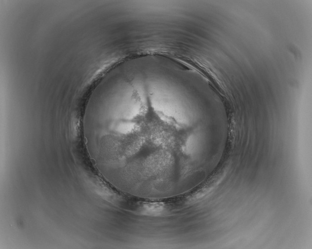 X0000110930355200906181433