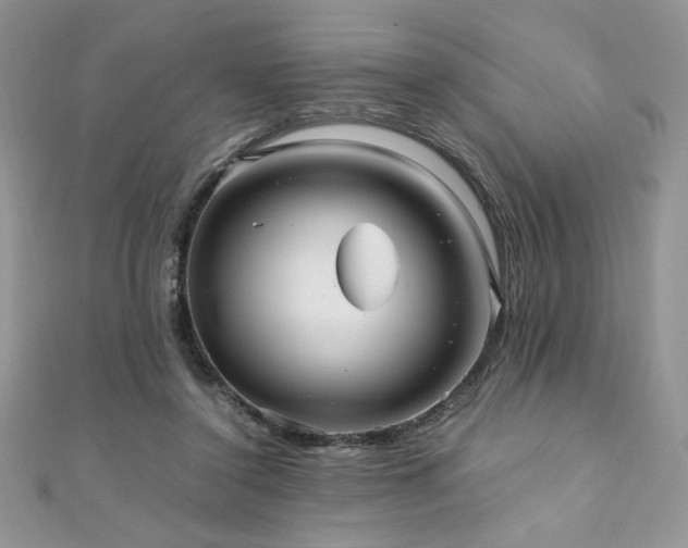 X0000110930356200906181434