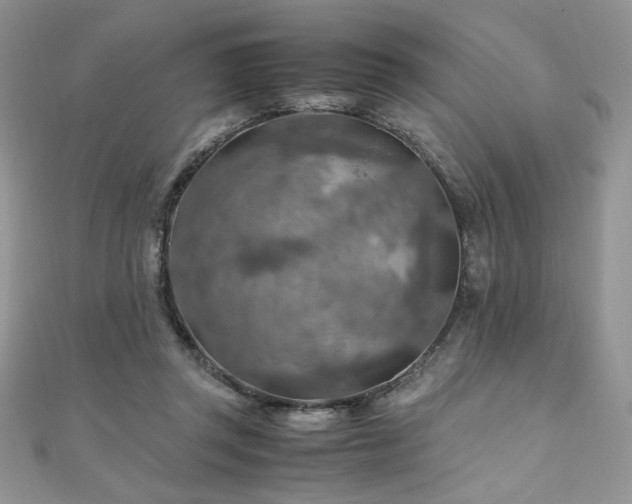 X0000110930357200906181434