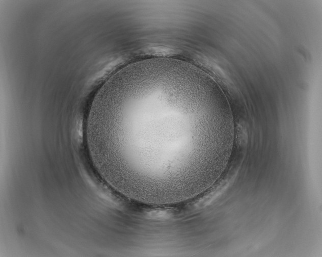 X0000110930358200906181434