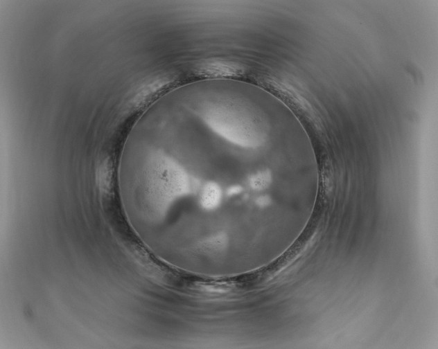 X0000110930359200906181434
