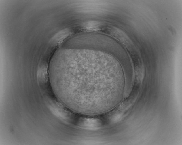 X0000110930360200906181434