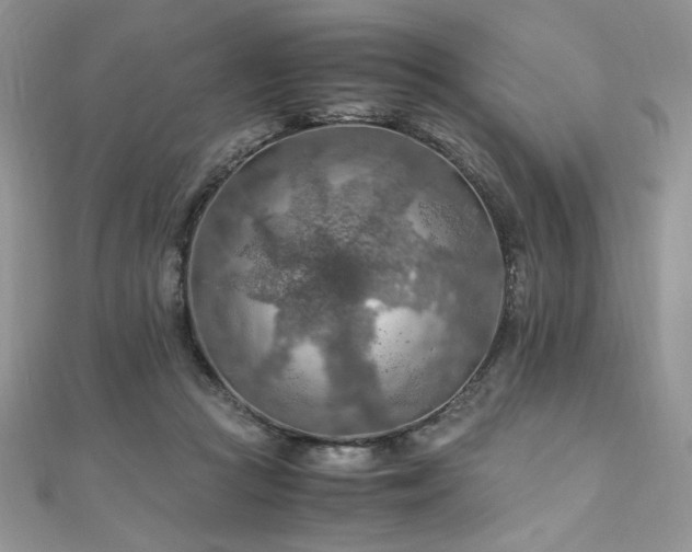 X0000110930361200906181434