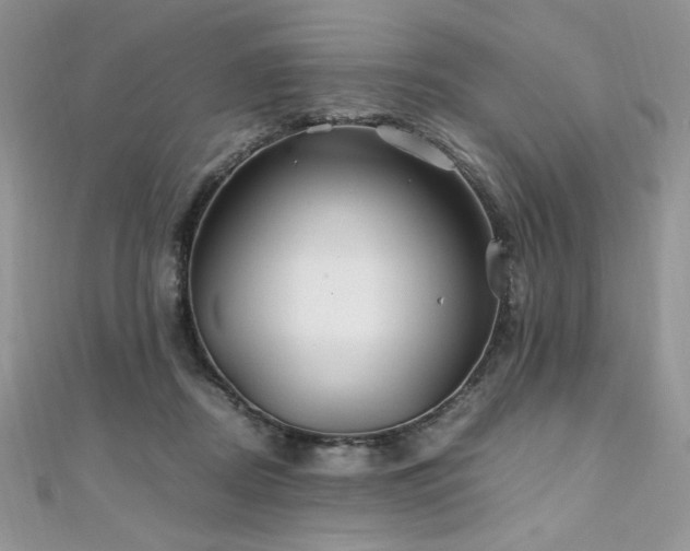 X0000110930362200906181434