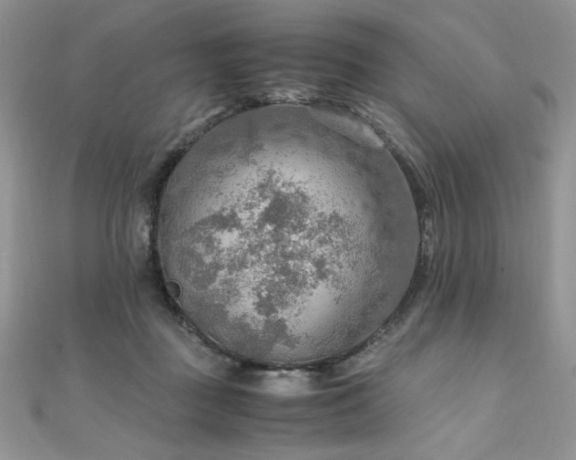 X0000110930363200906181434