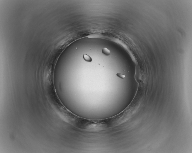 X0000110930364200906181434