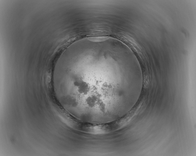 X0000110930365200906181434