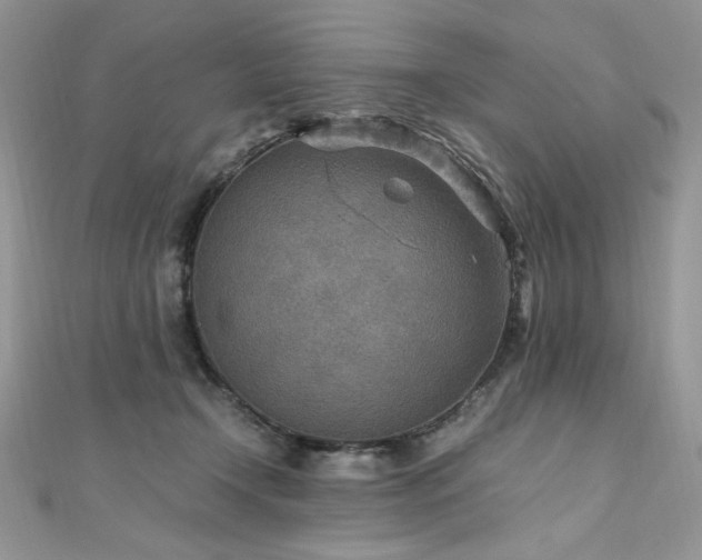 X0000110930366200906181434