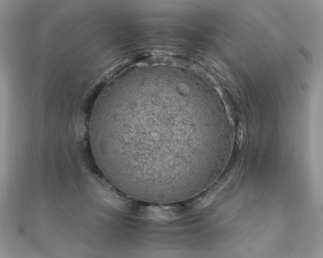 X0000110930367200906181434
