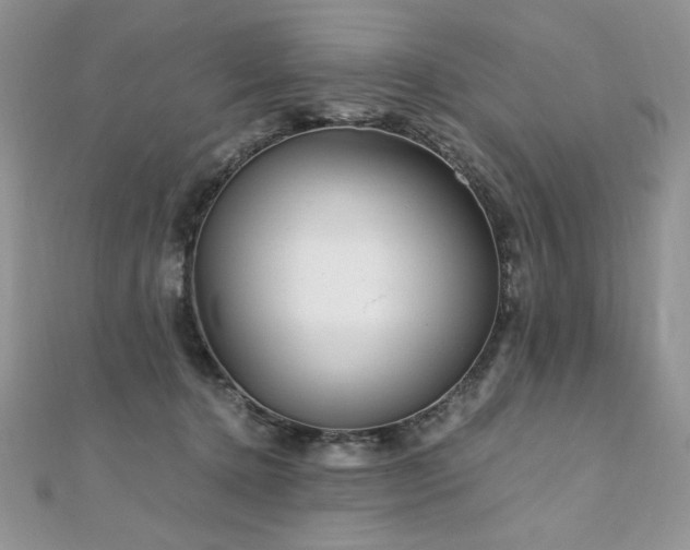 X0000110930368200906181434