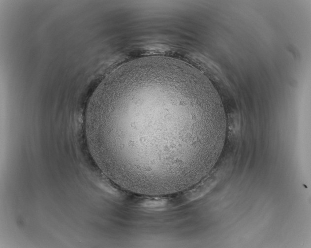 X0000110930369200906181434