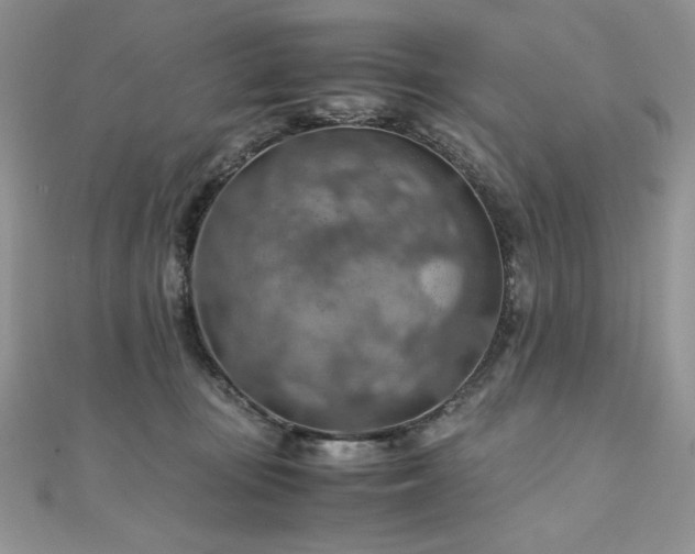 X0000110930371200906181434