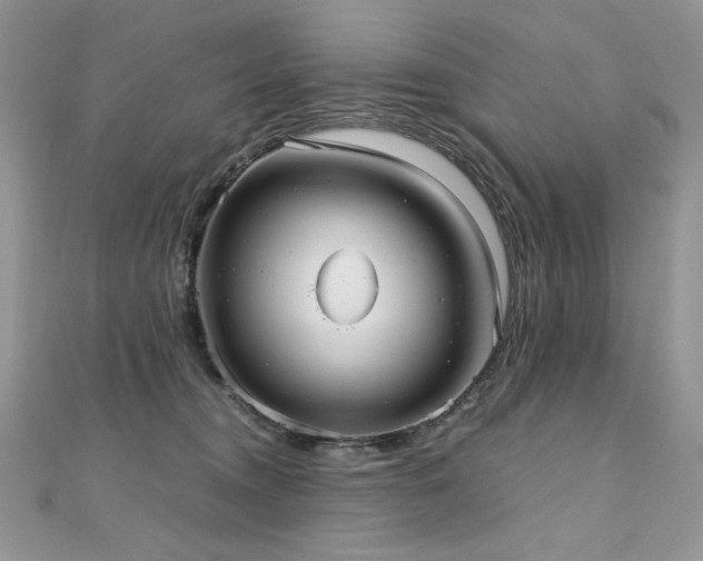 X0000110930372200906181434