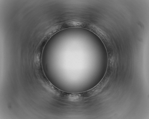 X0000110930373200906181434