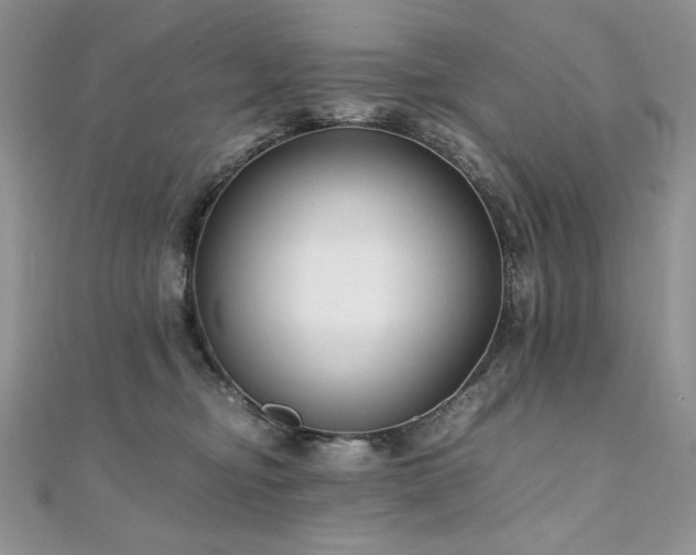 X0000110930374200906181434