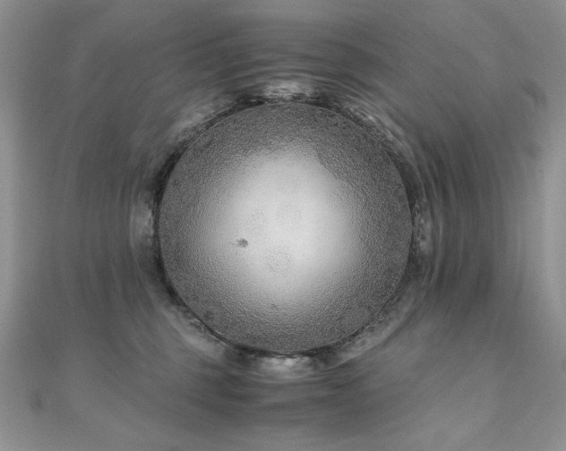 X0000110930375200906181434