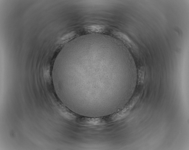 X0000110930377200906181434