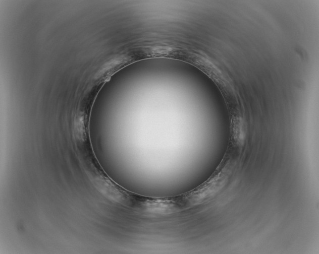 X0000110930378200906181434