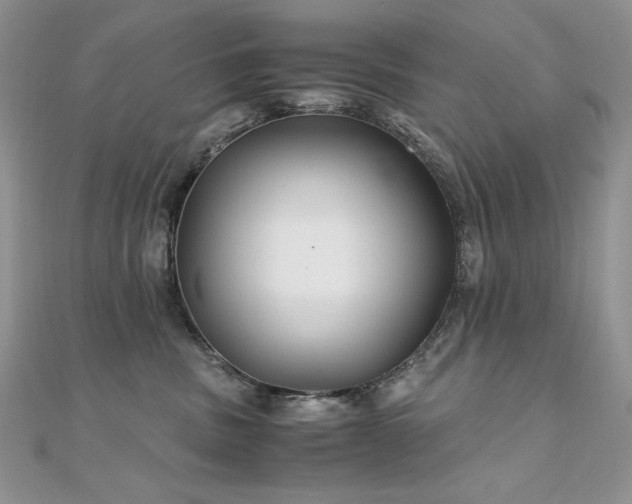 X0000110930379200906181434