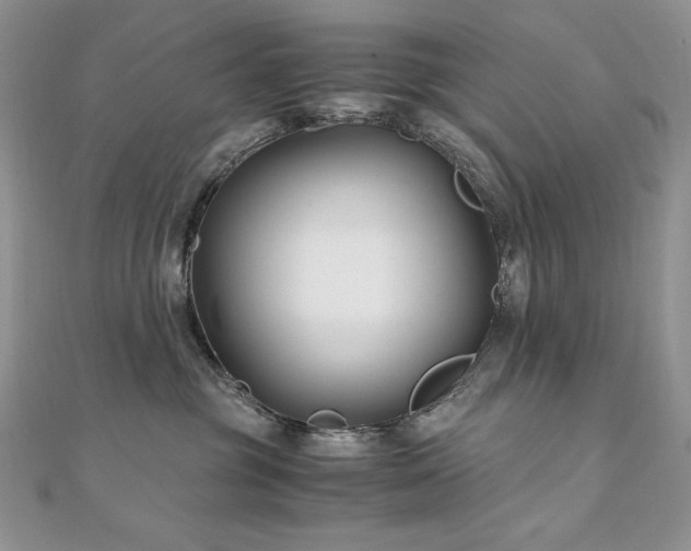 X0000110930381200906181434