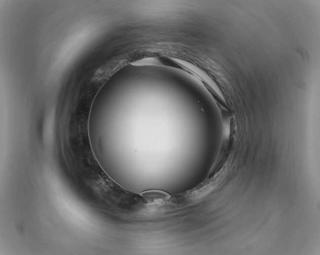 X0000110930382200906181434