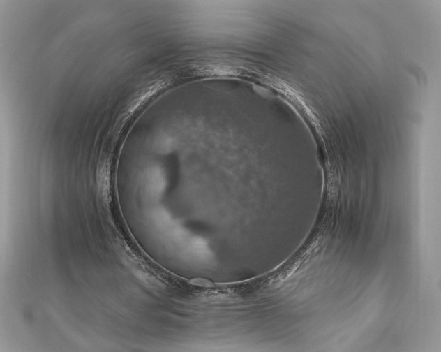 X0000110930386200906181433