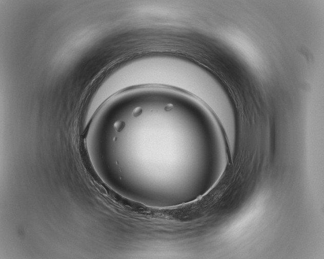X0000110930387200906181433