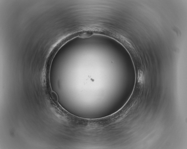 X0000110930388200906181433