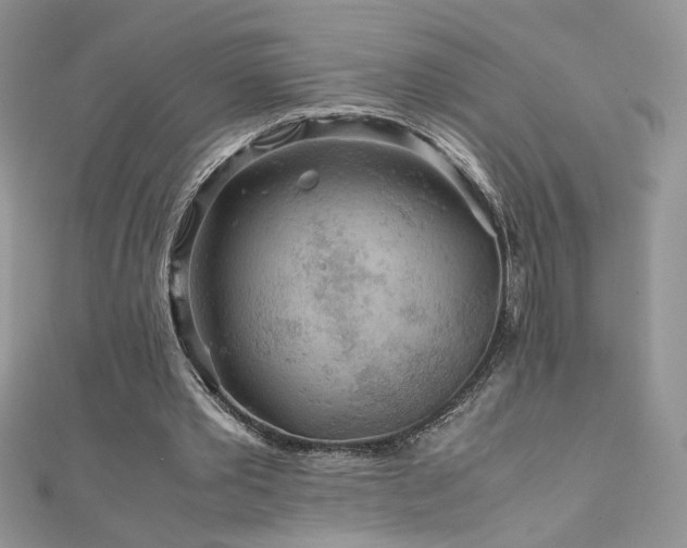 X0000110930389200906181433