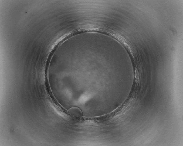 X0000110930390200906181433