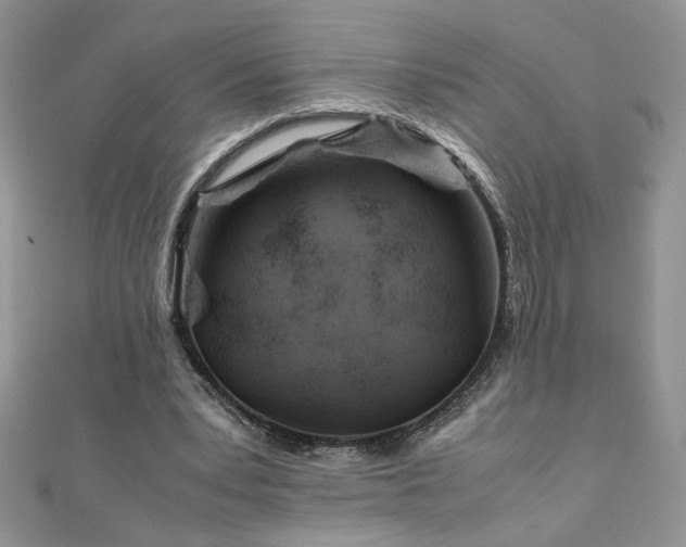 X0000110930391200906181433