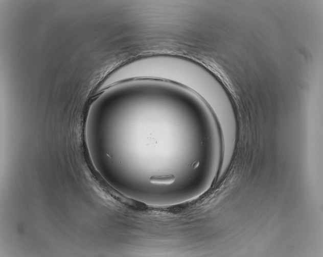 X0000110930393200906181433