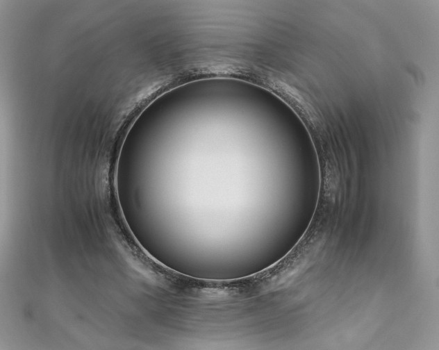 X0000110930394200906181433