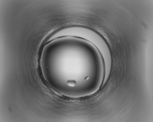 X0000110930395200906181433