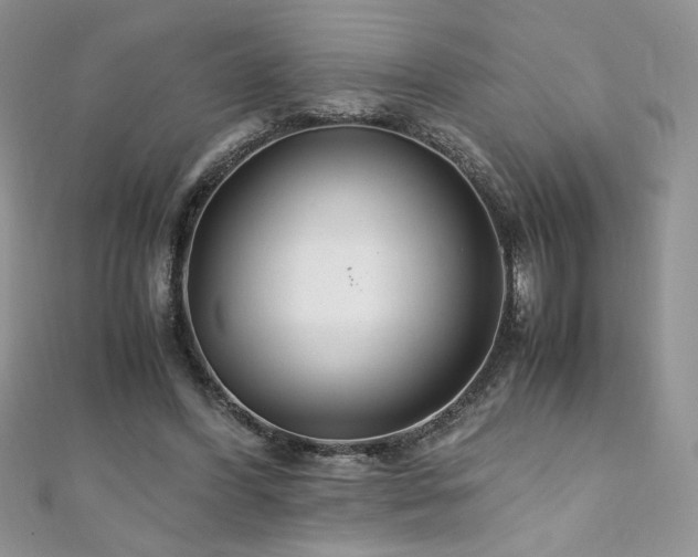 X0000110930396200906181433