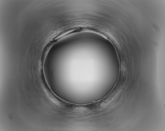 X0000110930397200906181433