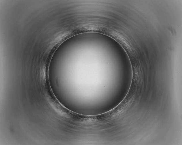 X0000110930398200906181433