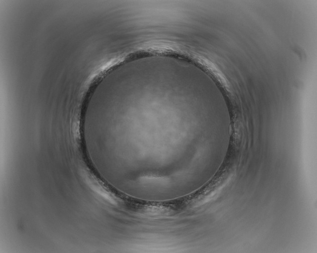 X0000110930399200906181433