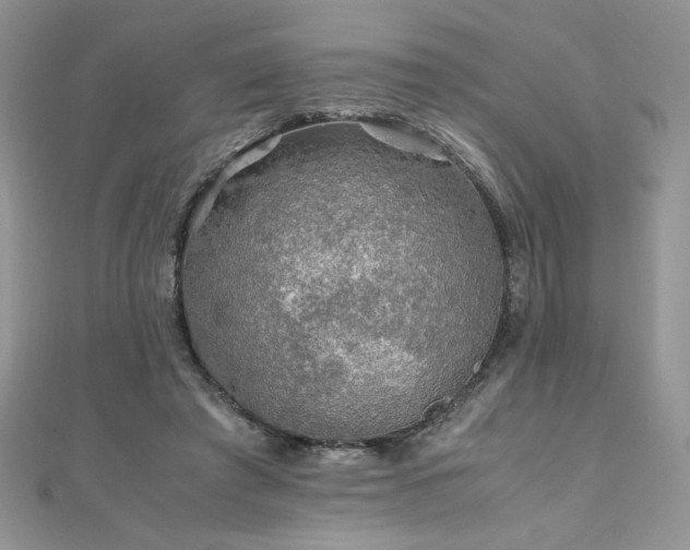 X0000110930401200906181433