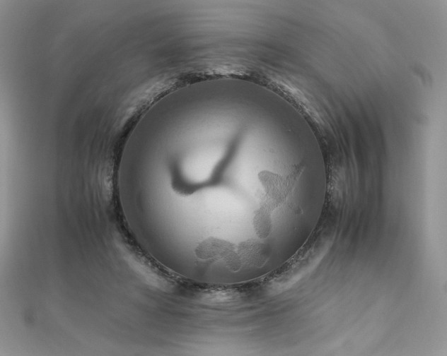 X0000110930402200906181433