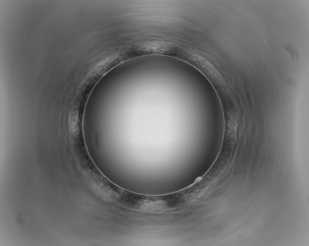 X0000110930403200906181433