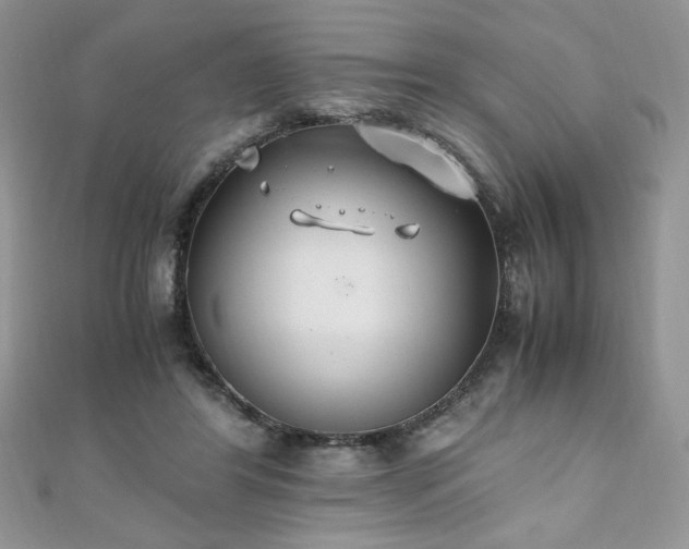X0000110930404200906181433