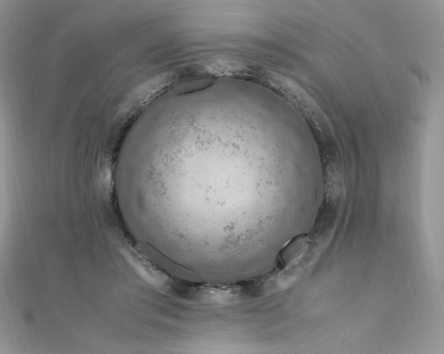 X0000110930405200906181433