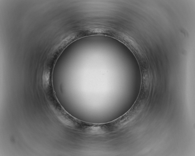 X0000110930406200906181433