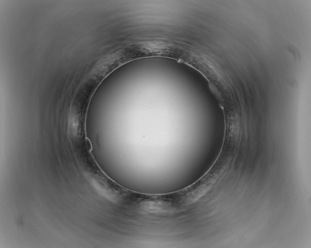 X0000110930408200906181433