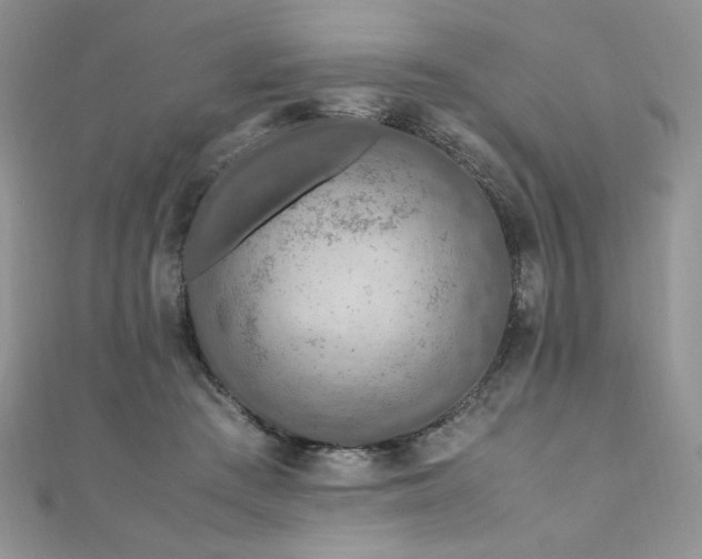 X0000110930409200906181433