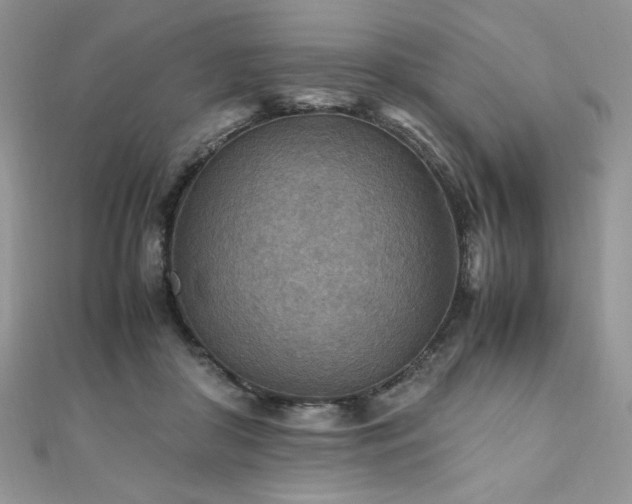 X0000110930410200906181433